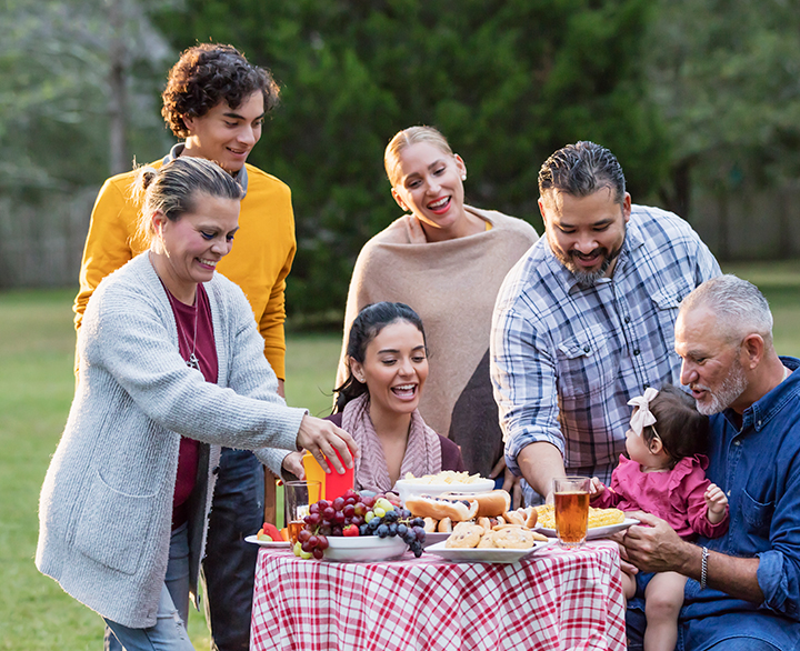 family having a picnic