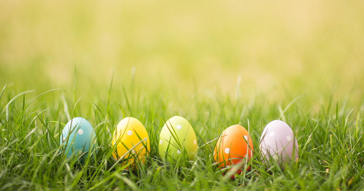 Bringing the Easter spirit, one egg hunt and family photo at a time