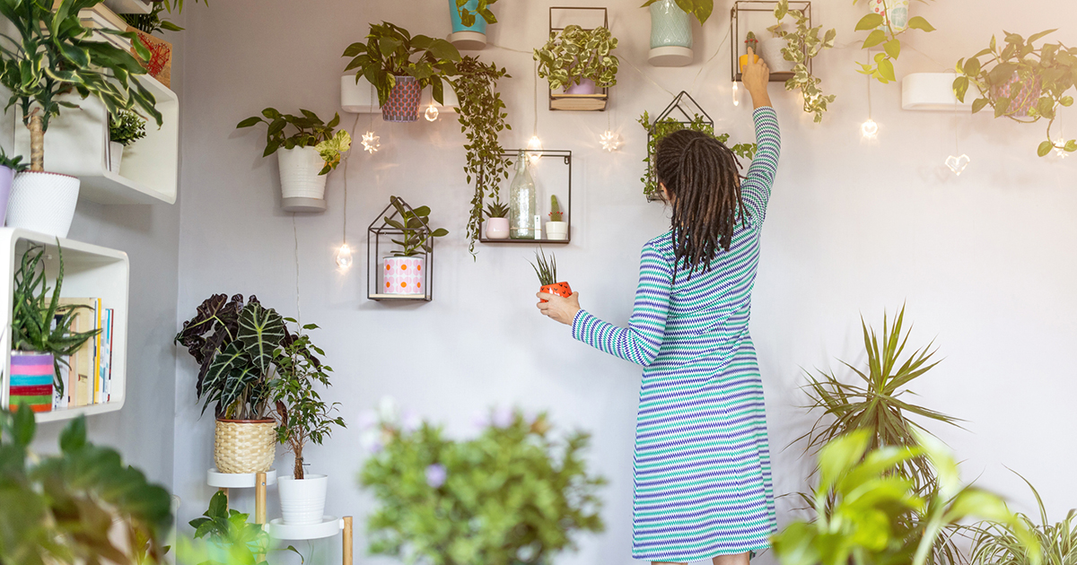 Home Plant Walls: 4 Ways to Add a Little Green to your Home Decorating