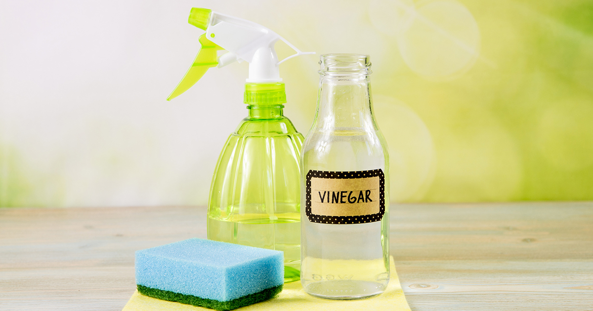 Cleaning Supplies Costs: How to Save Money While Keeping Your Home Clean—Verve,  a Credit Union